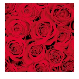 SALVETE RED ROSES 40X40