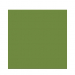 DUNISOFT SALVETE LEAF GREEN 40X40 