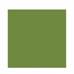 DUNISOFT SALVETE LEAF GREEN 40X40 