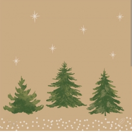 SALVETE WOF CREAM KRAFT 40X40