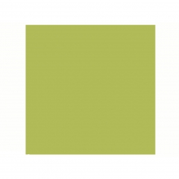 DUNISOFT SALVETE HERBAL GREEN 40X40 