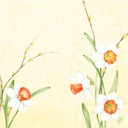 DUNISOFT SALVETE DAFFODIL JOY 40X40