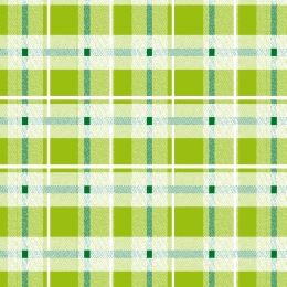 PAPIRNI PODMETAC 30X40 PAK250 VERDE
